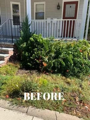 Front porch garden with overgrown shrubs and grass, labeled “BEFORE”