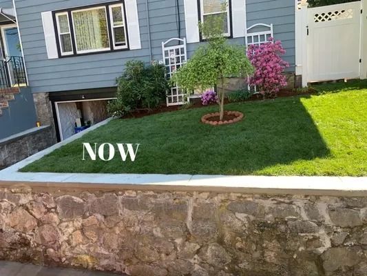 Small front yard with green lawn, stone retaining wall, gray house, and a blooming pink tree labeled “NOW.”