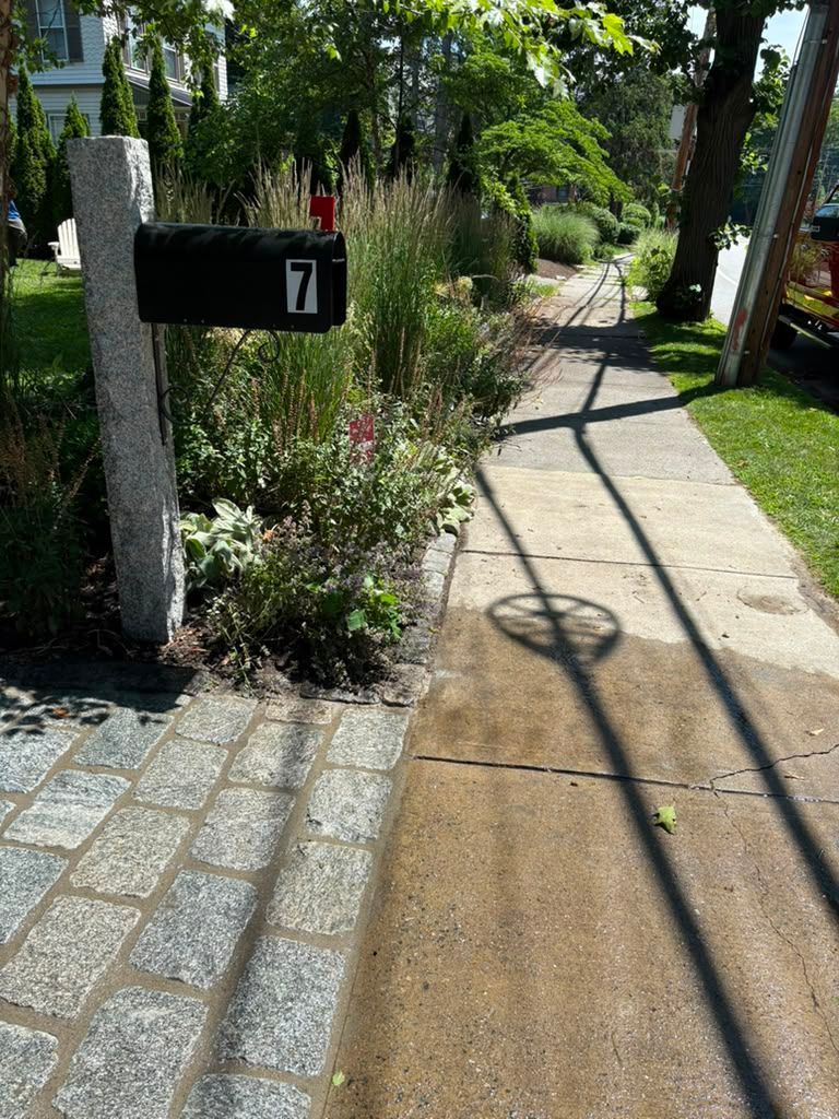 Sunlit sidewalk beside a garden path with a black mailbox on a stone post and a tree shadow across the walkway