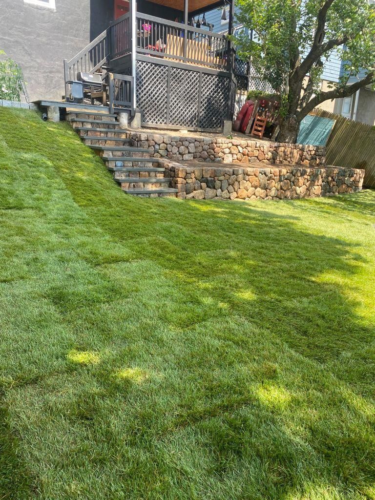 Backyard lawn sloping up to a deck and stone steps beside a house in bright sunlight