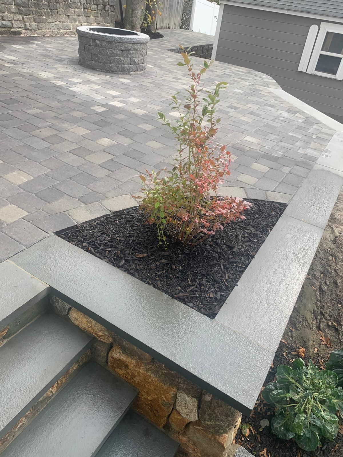 Raised planter with a small shrub on a gray patio beside stone steps and a brick fire pit