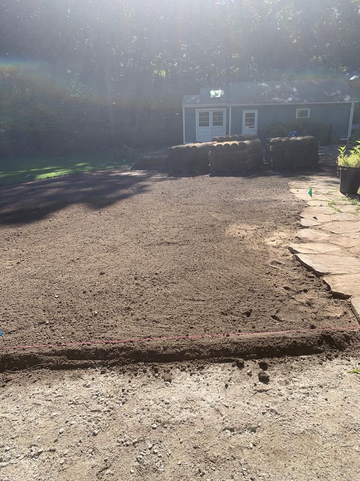 Sunlit gravel driveway leading to a small blue house and hedge-lined yard