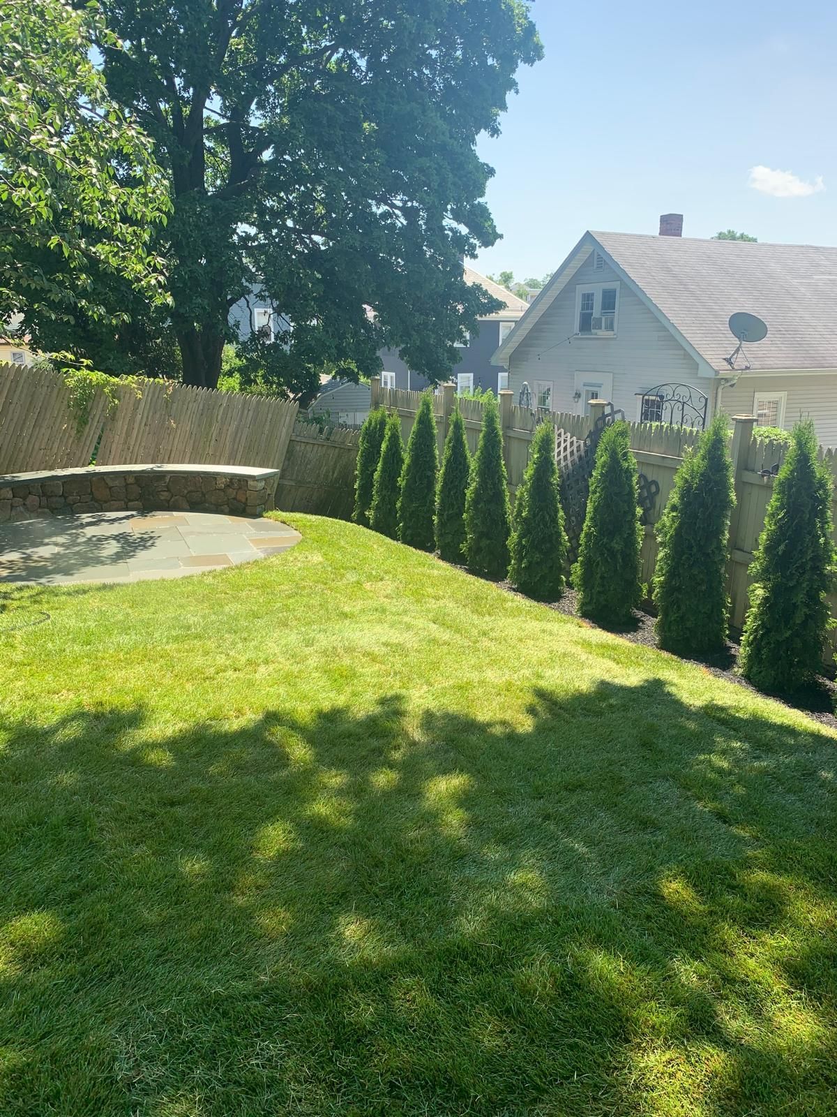 Sunny backyard with green lawn, stone wall, tall evergreens, and a white house in the background