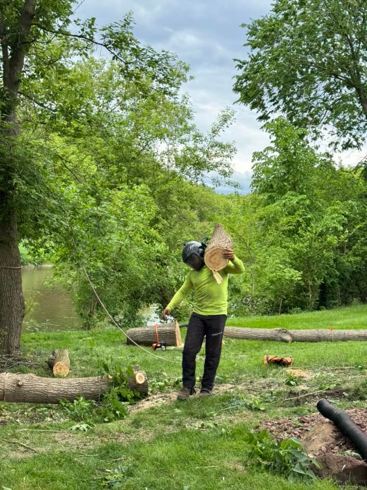 A person is standing in a field holding a tree stump.