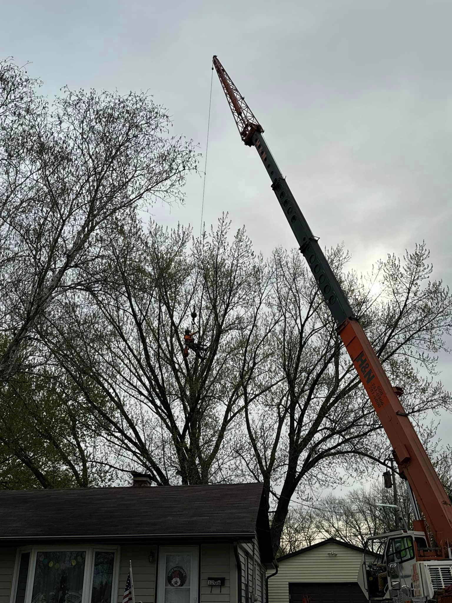 A crane is cutting a tree in front of a house.