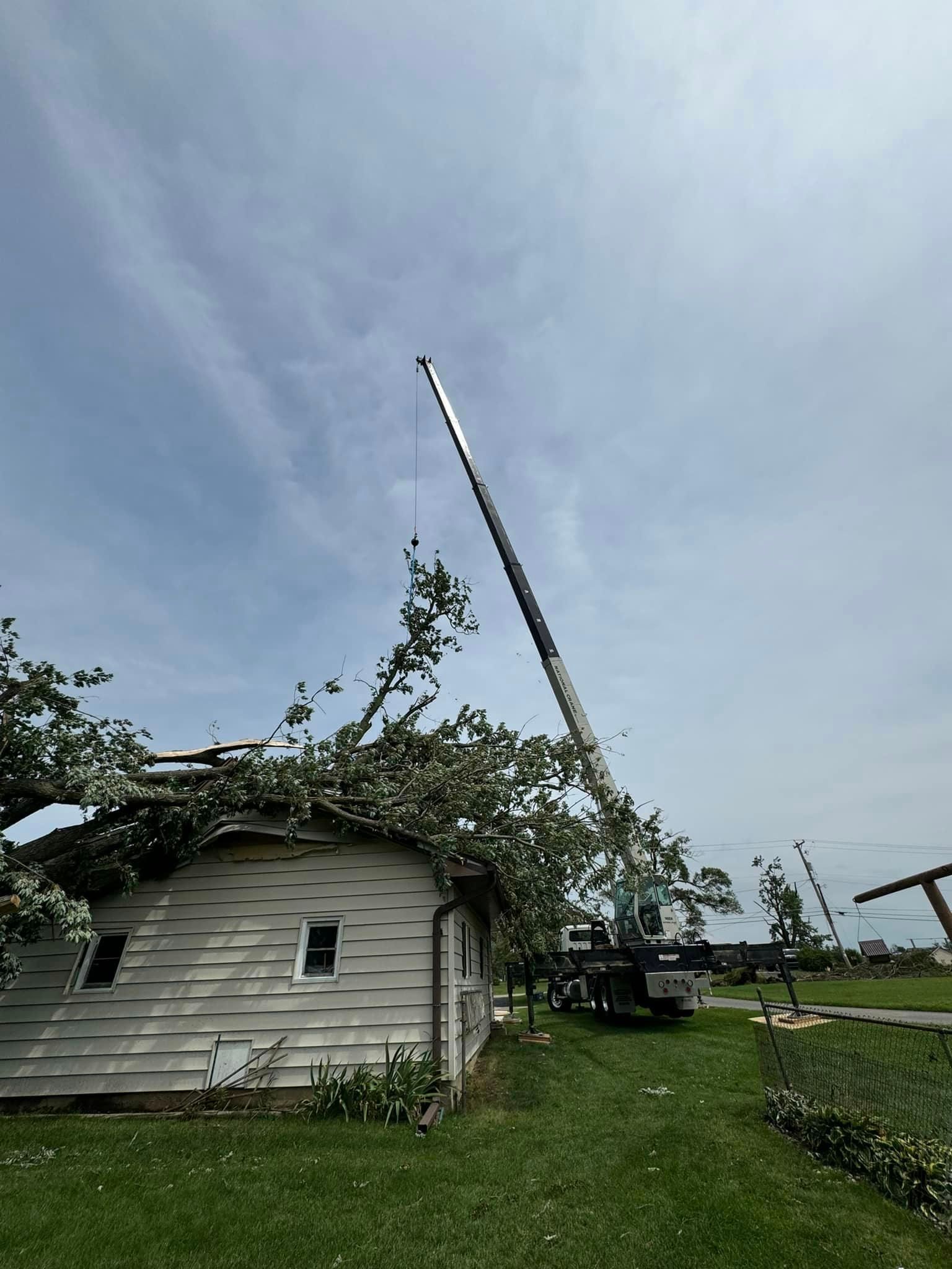 A crane is lifting a tree from the roof of a house.