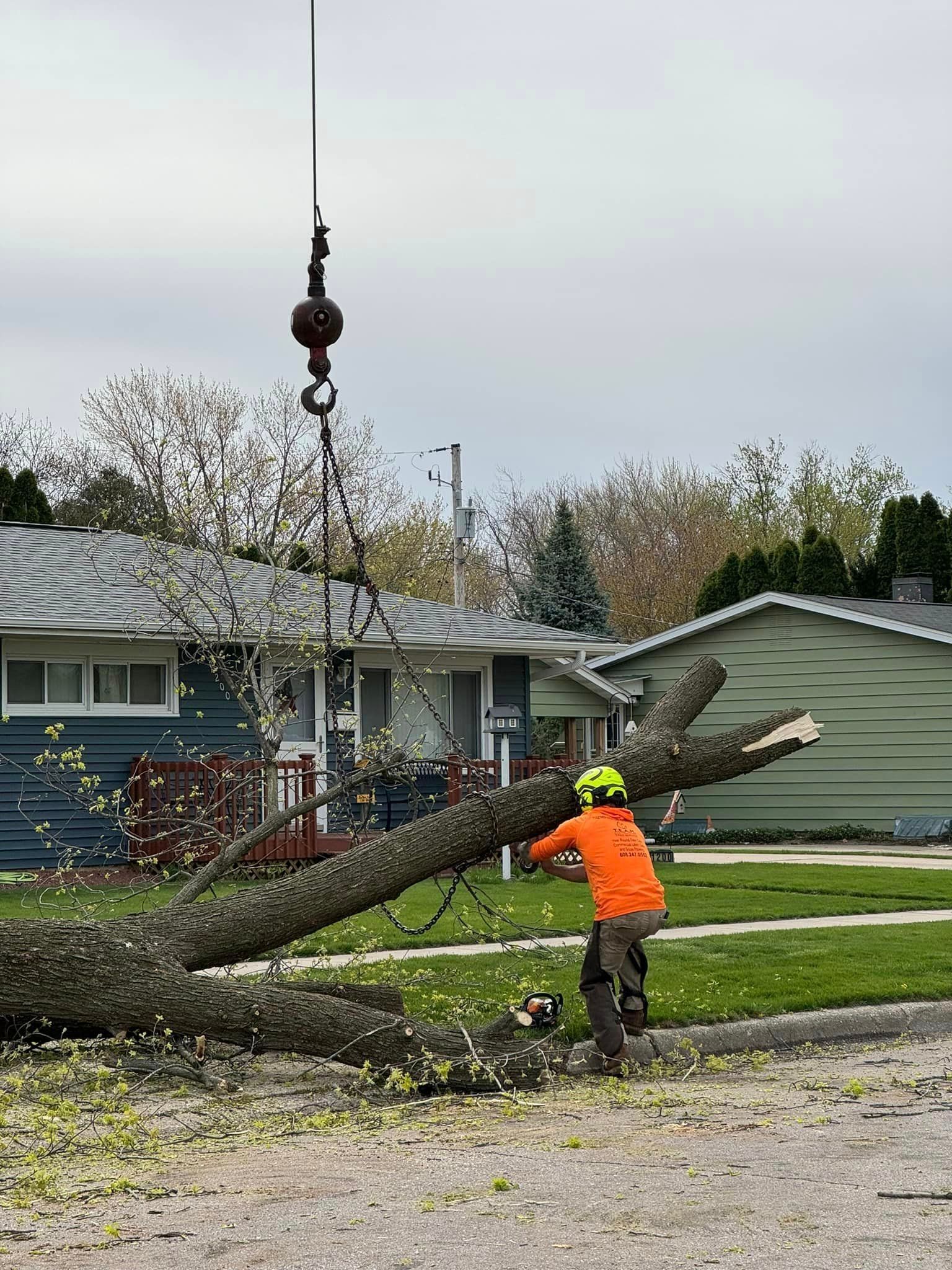 A man is cutting down a tree with a chainsaw in front of a house.