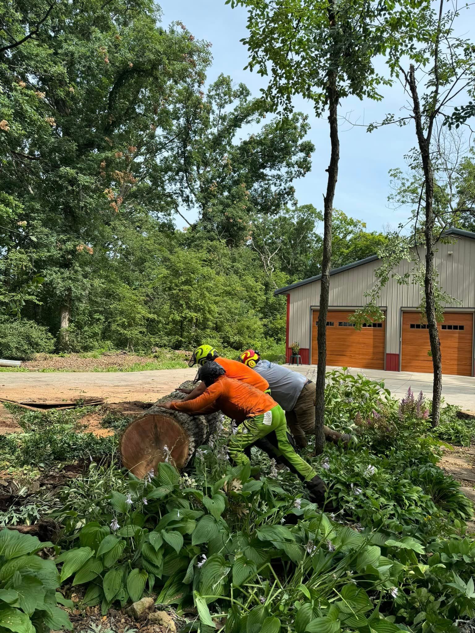 A couple of men are working on a tree stump in the woods.
