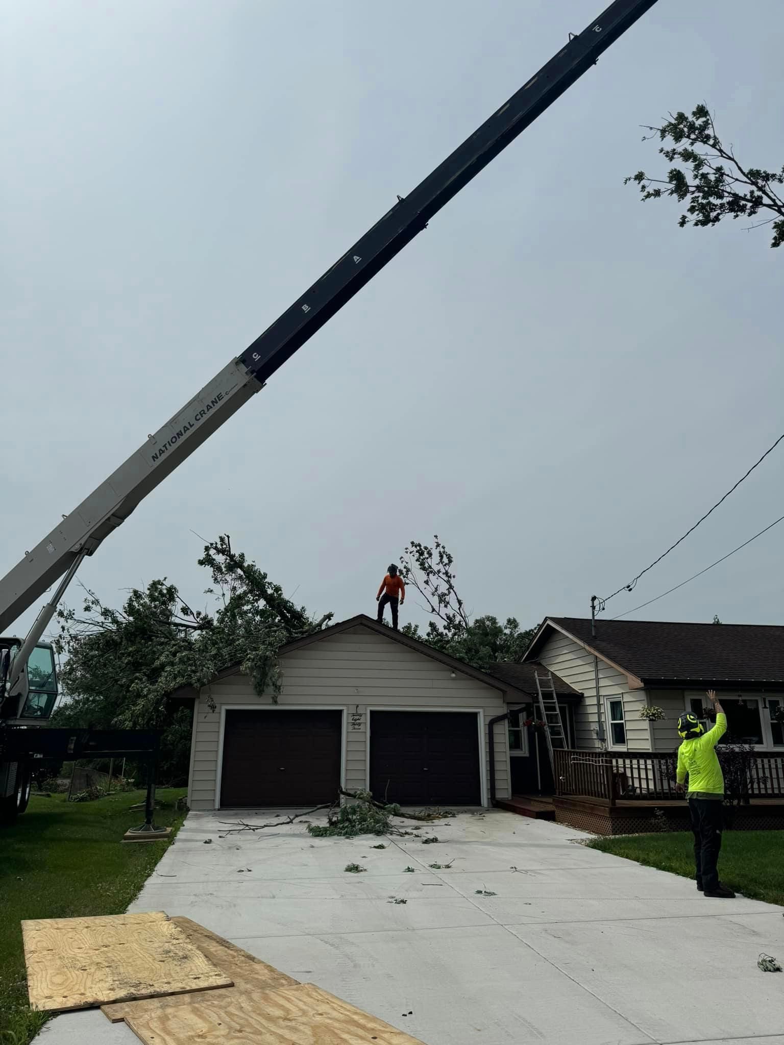 A crane is lifting a tree from the roof of a house.