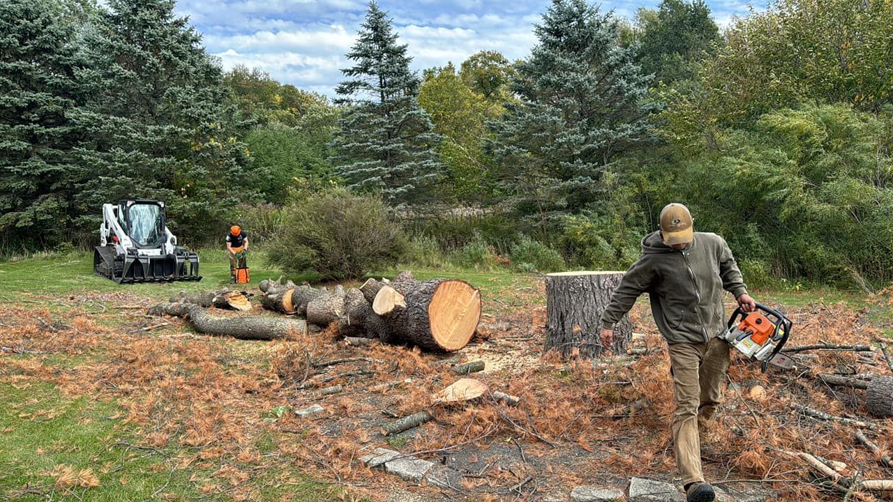 A man is holding a chainsaw in a field.