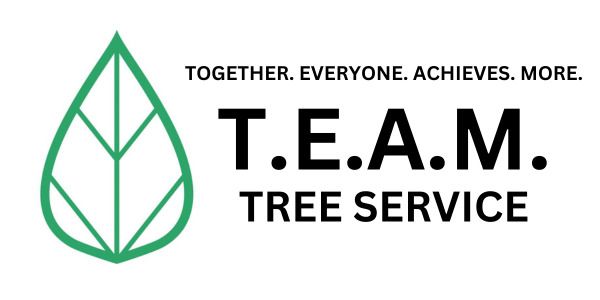 A logo for t.e.a.m. tree service with a green leaf