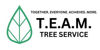 A logo for t.e.a.m. tree service with a green leaf