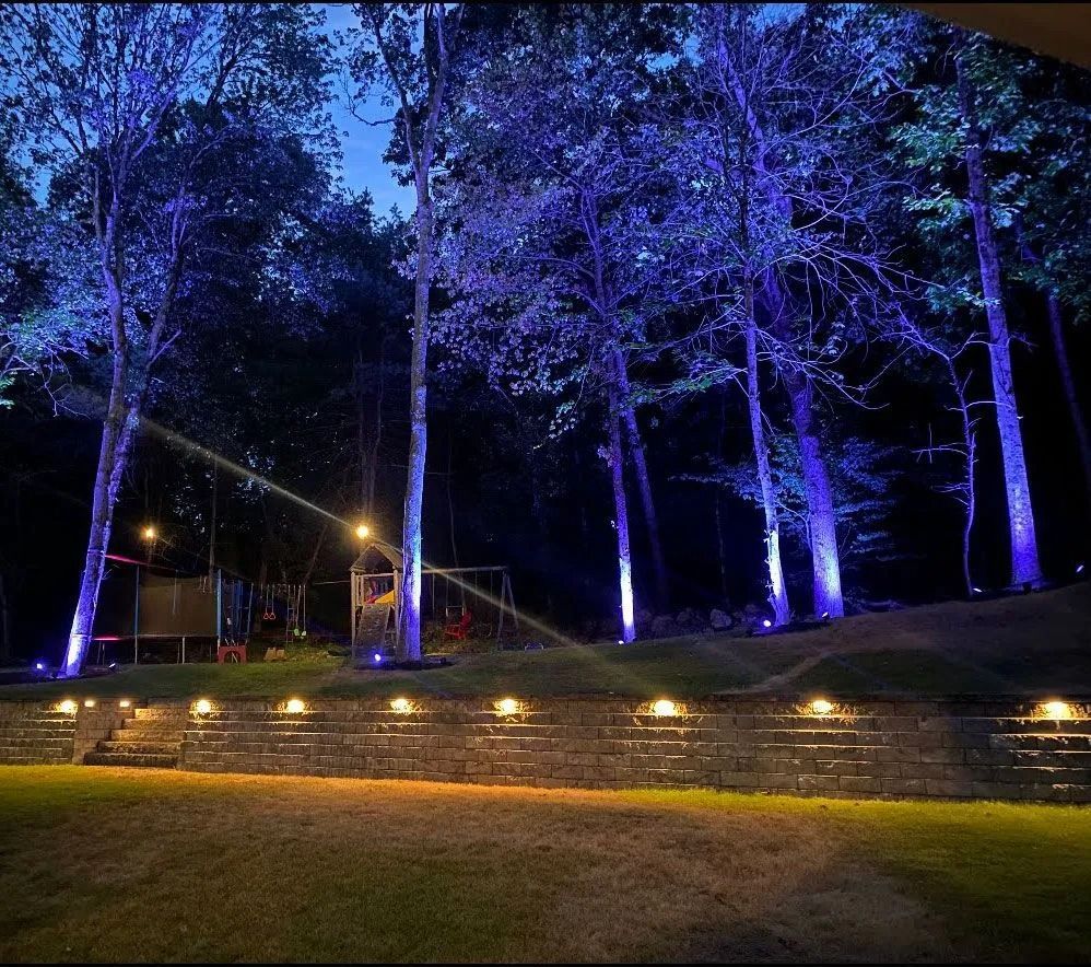 Blue-lit trees in a park at night, with a lit stone wall and grassy foreground.