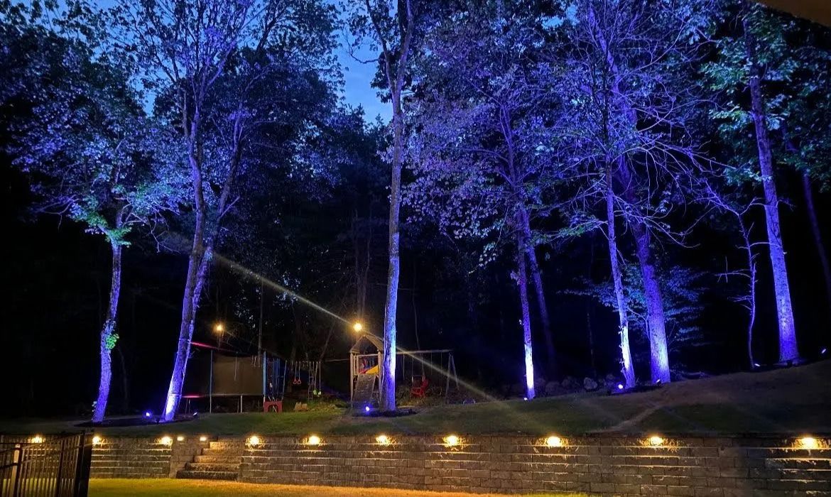 Tree-lined path lit with blue and yellow lights at night