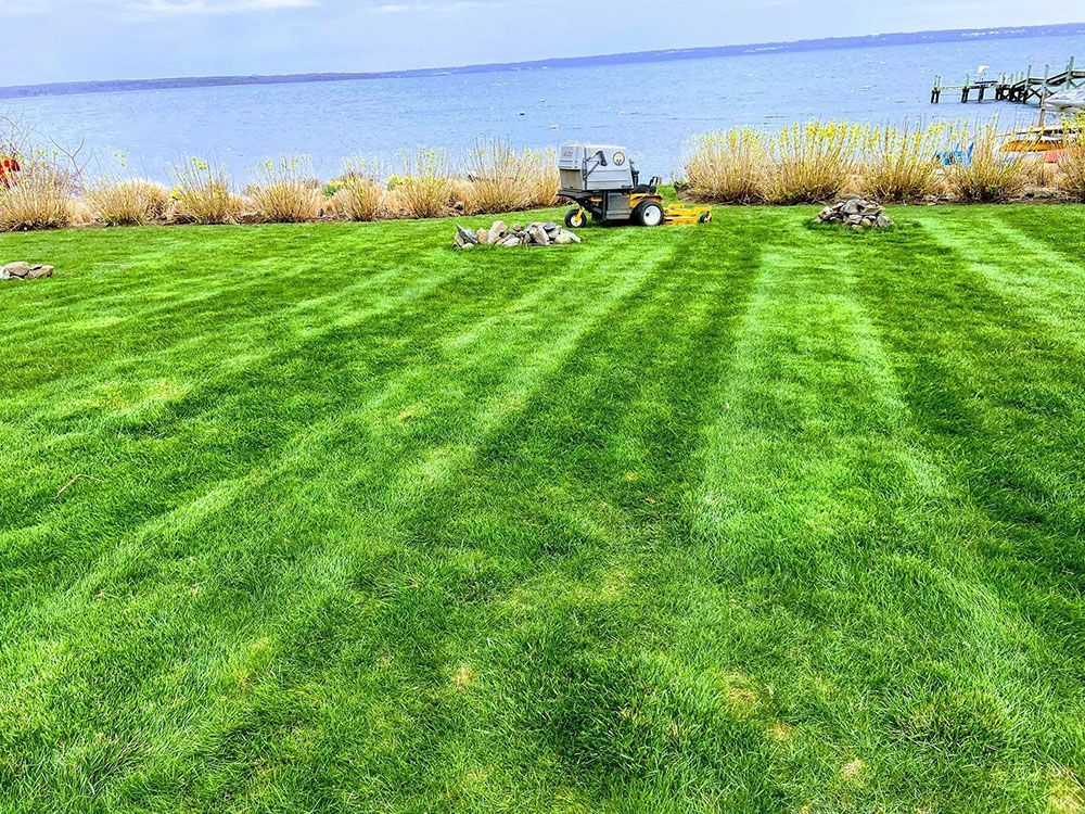 Lawn tractor mowing a bright green lakeside field under a clear sky