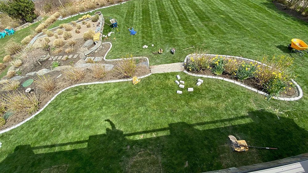 Grassy backyard with curved stone border and landscaped flower beds under bright sunlight