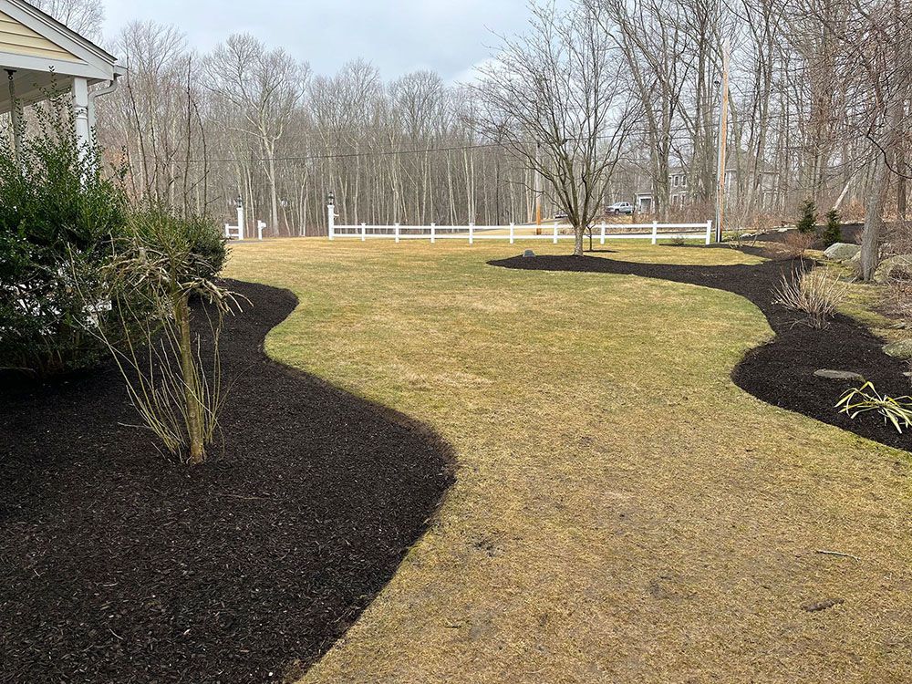 Grassy yard with curved mulch beds, shrubs, and a white fence in the distance