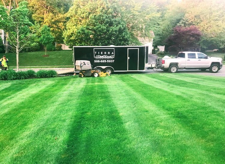 Black trailer and white pickup on a striped green lawn with trees in the background