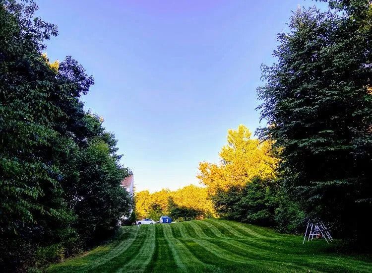 Tree-lined park lawn with striped grass and bright blue sky at sunset