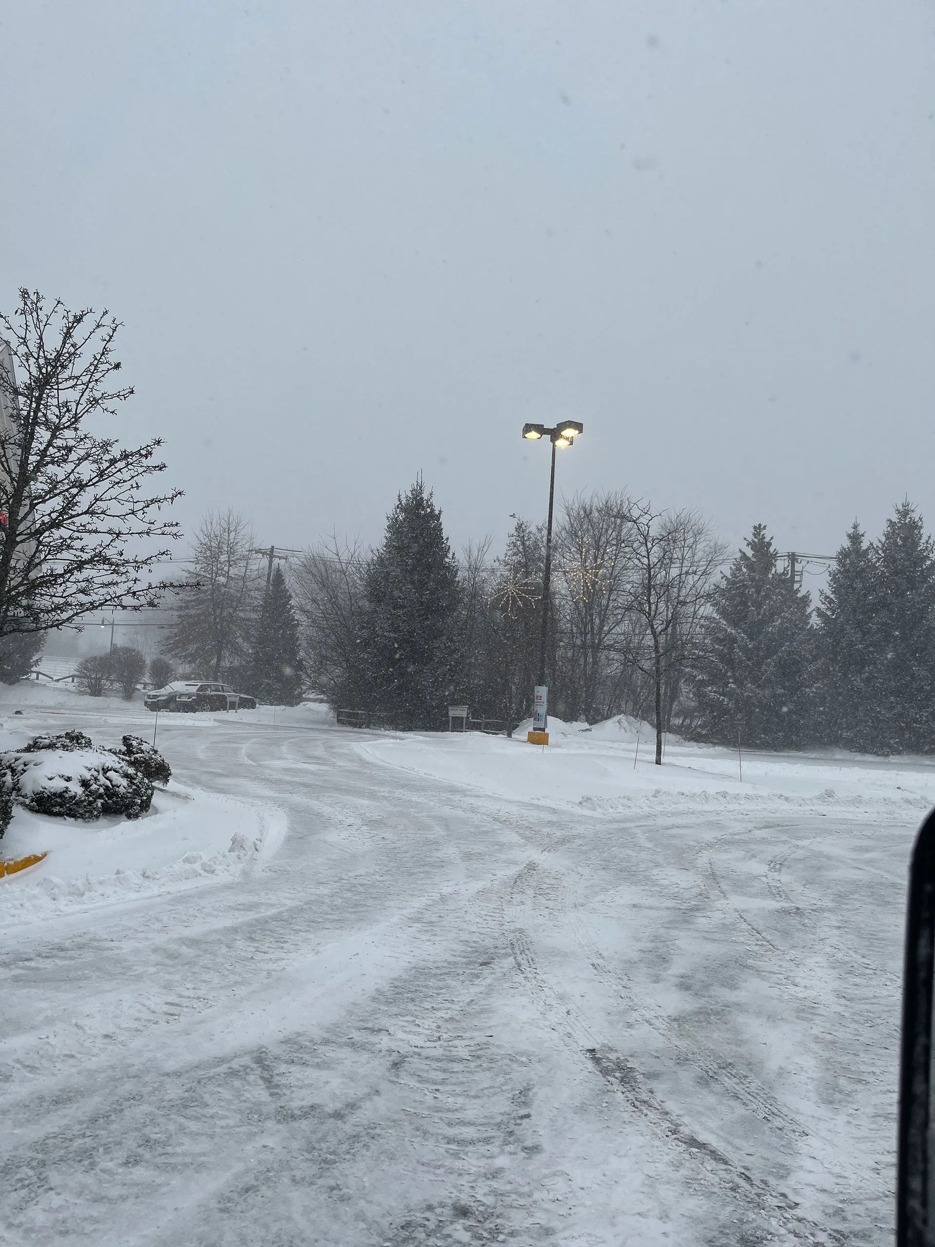 Snowy parking lot and trees during a snowfall, with a lit lamp post in the center.