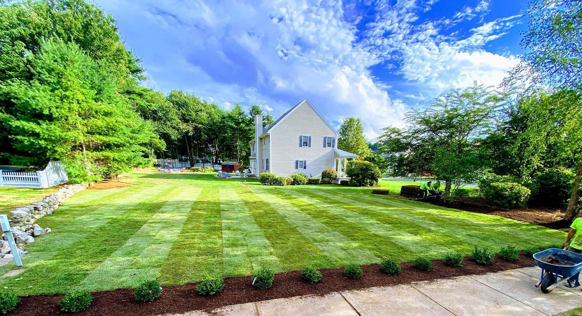 Bright green lawn with striped mowing, white house, and blue sky in a suburban yard