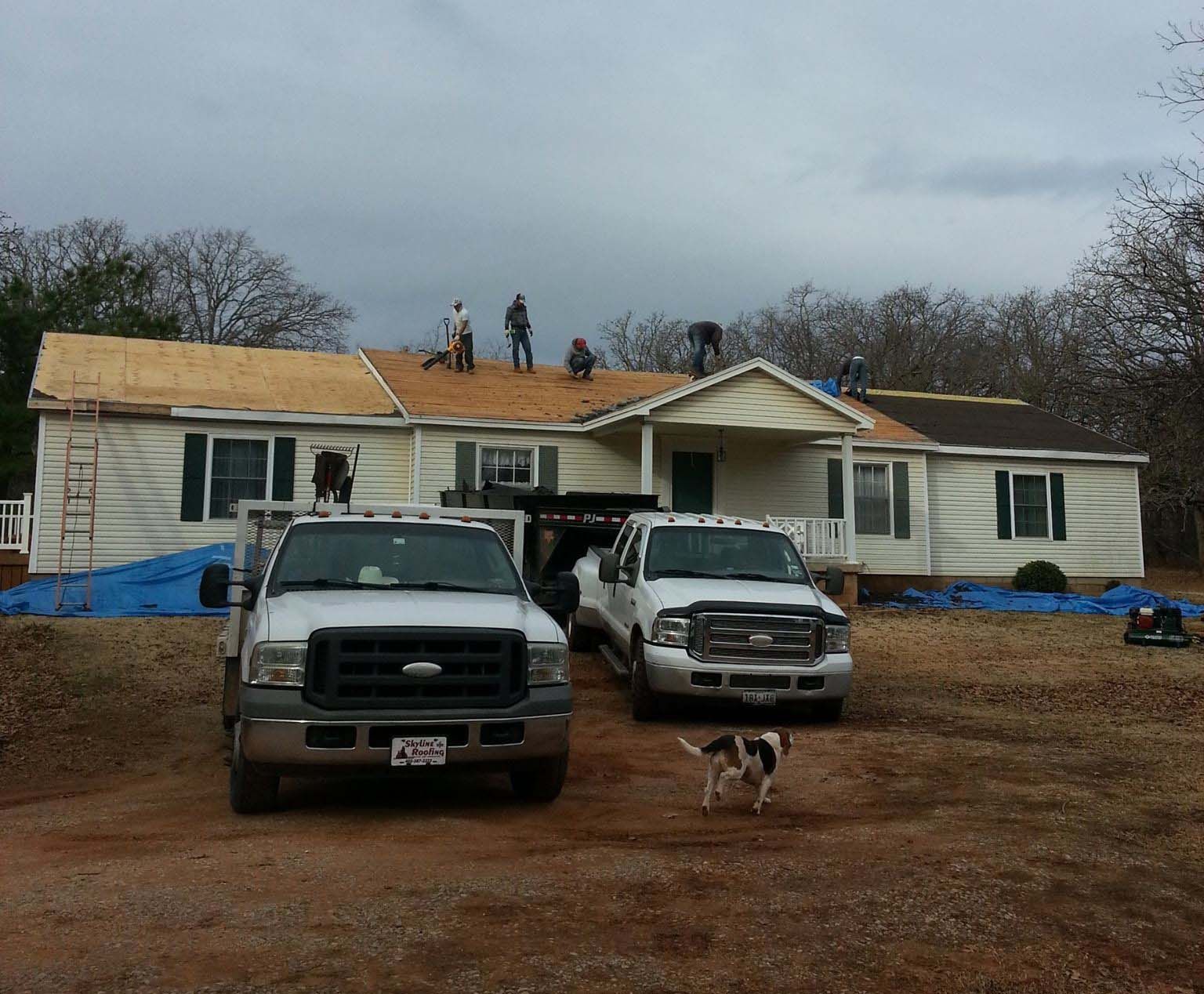 Roofers working on a house; two trucks parked in front, dog runs by.