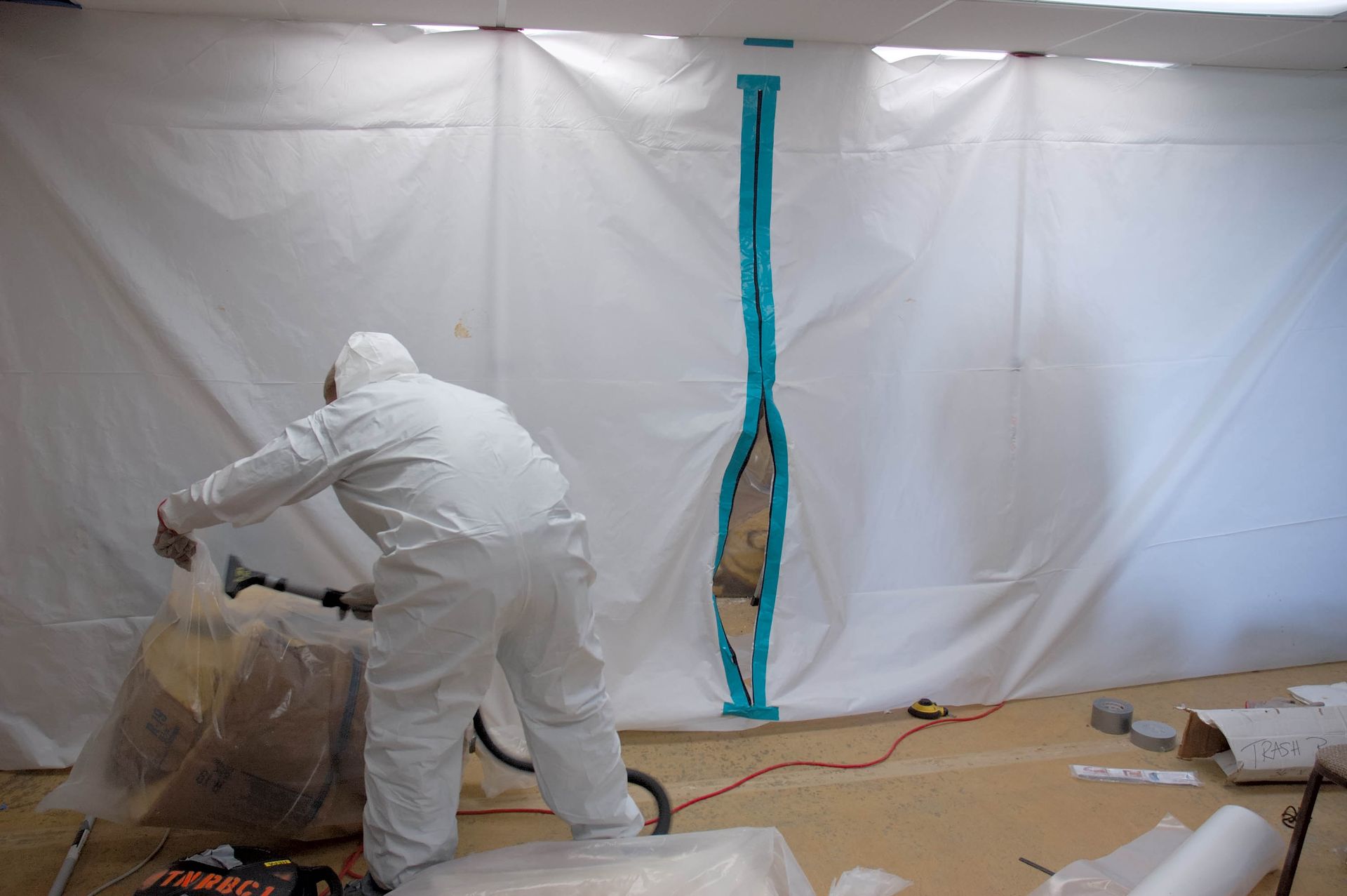 mold removal contractors