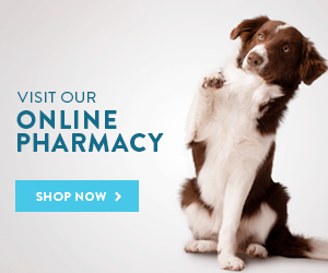 Pet Pharmacy