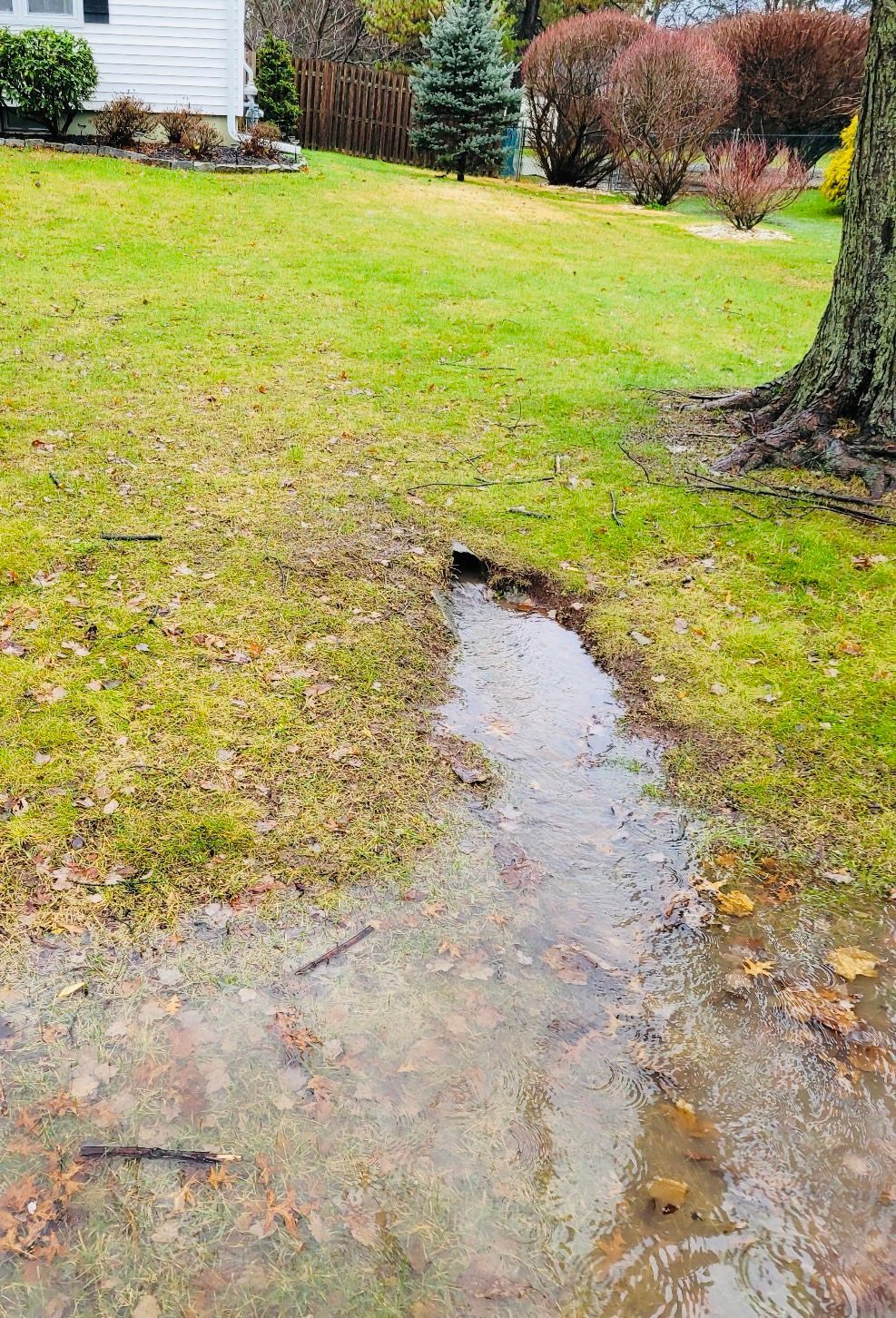 there is a puddle of water in the middle of the grass