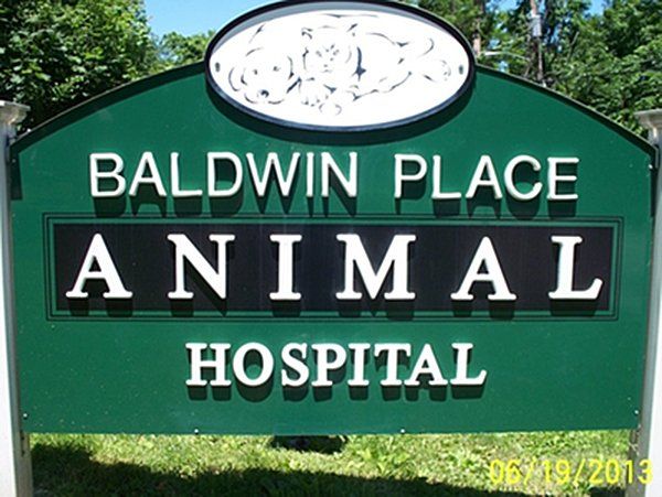Animal hospital