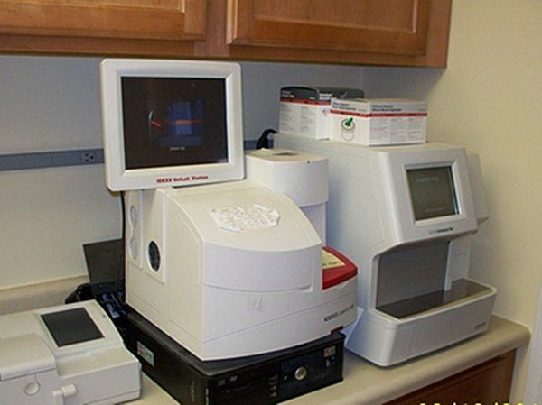 In-house laboratory services