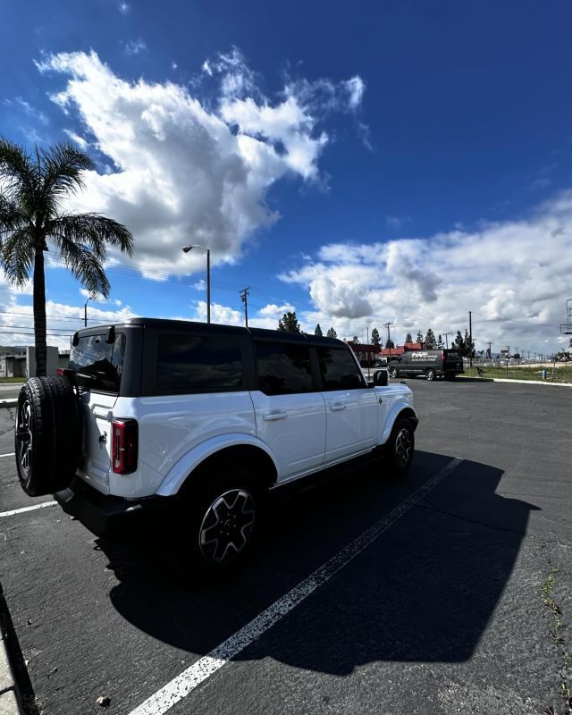 A white jeep is parked in a parking lot next to a palm tree.