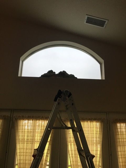 A ladder is sitting in front of a large window
