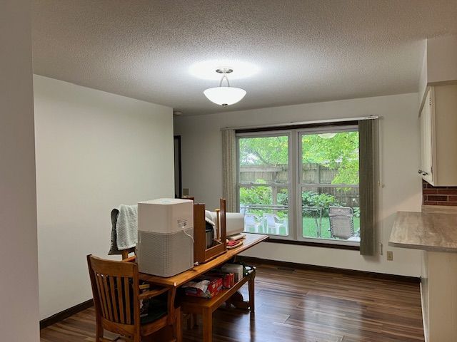 Dining room with table, chairs, window to backyard, and overhead light.