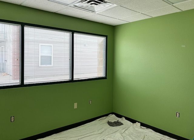 Green-painted office interior with windows, black trim, and a drop cloth on the floor.