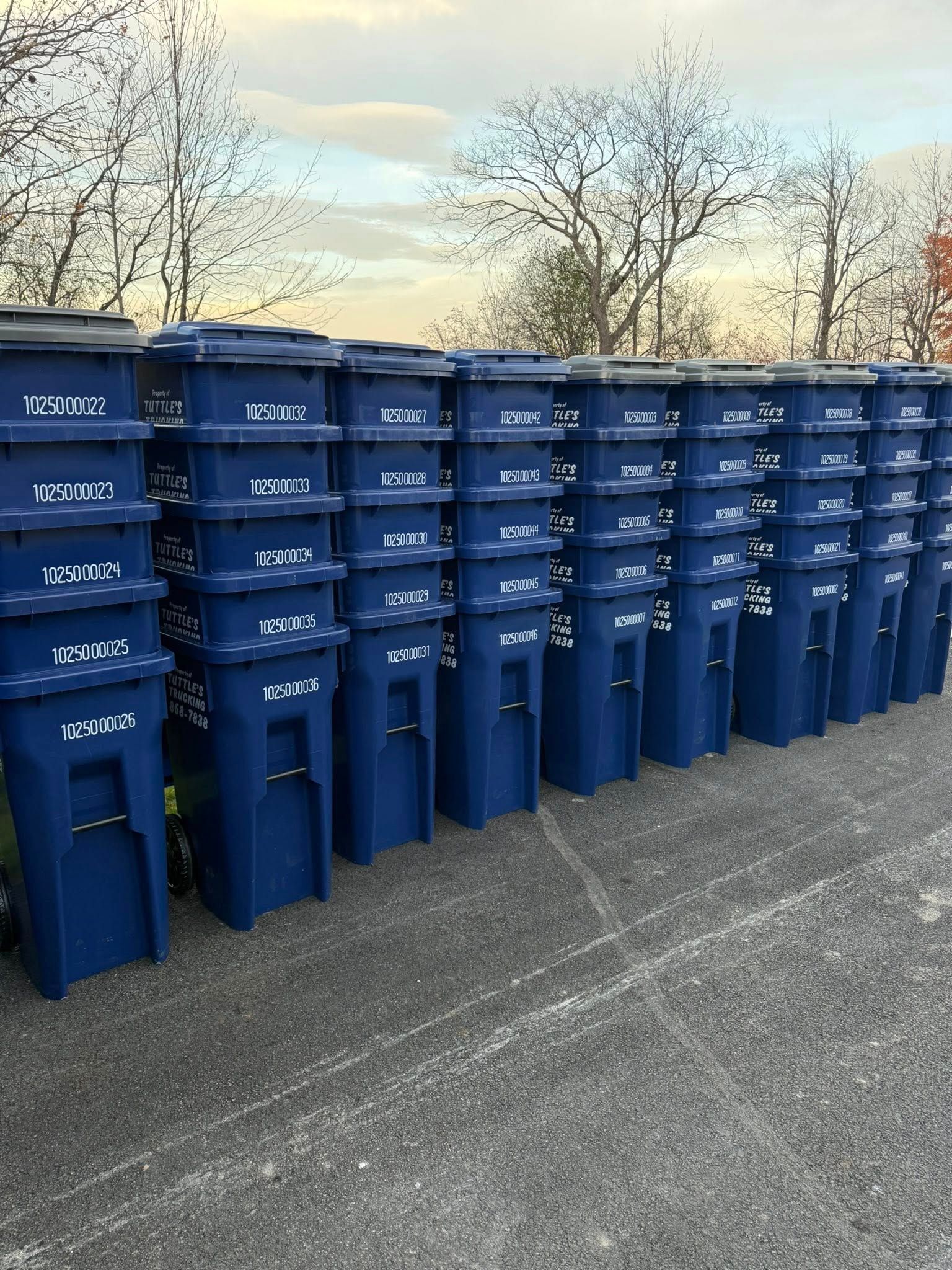Row of stacked blue recycling bins with labels on a paved area, with trees and a cloudy sky in the background.
