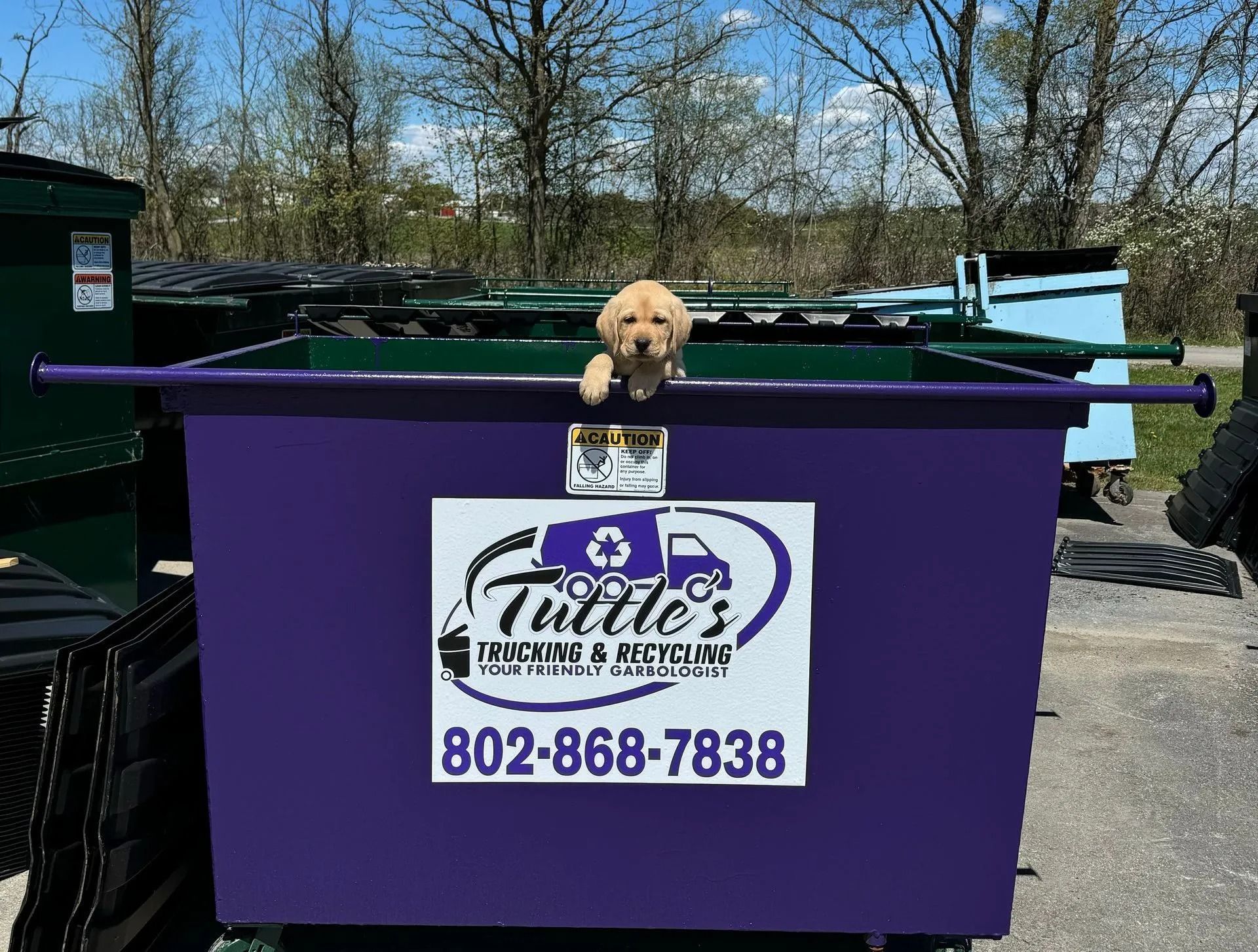 Golden doodle puppy on a purple dumpster, Tuttle's Trucking & Recycling logo, phone number, outdoor setting.