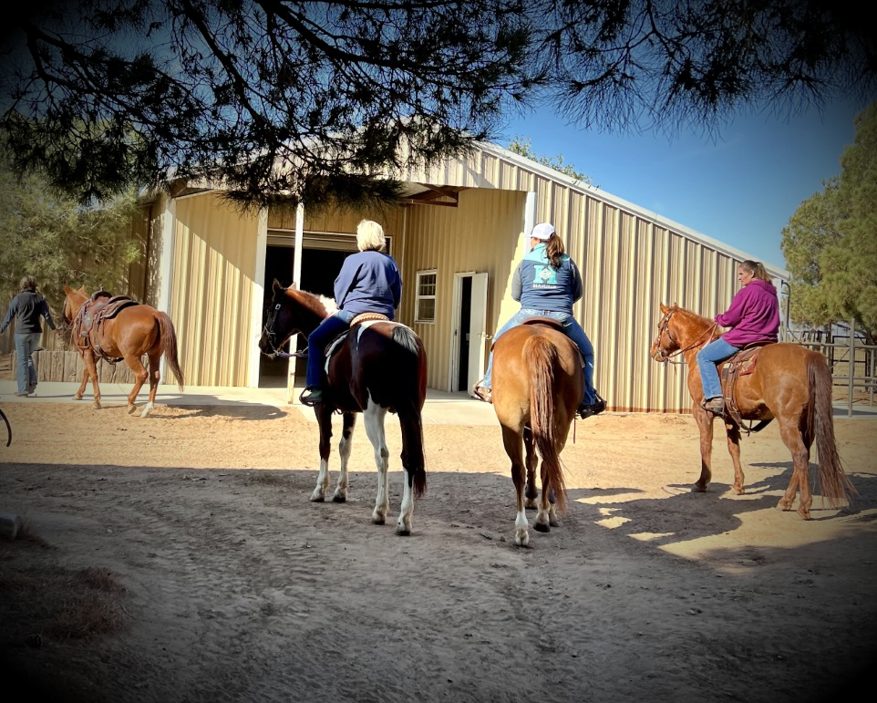 4C Stables Inc Horse Boarding Facility Midland, TX