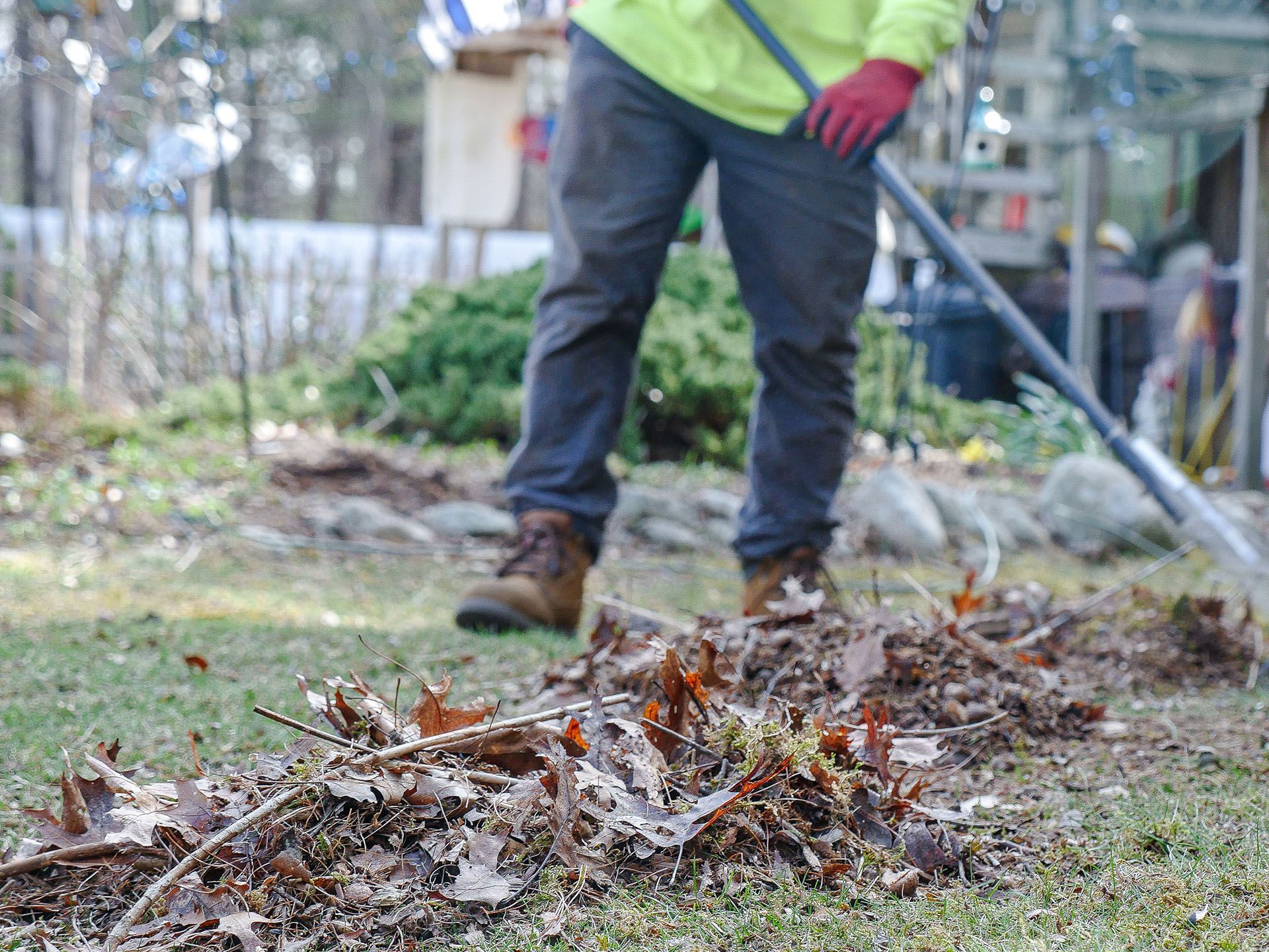 A man is raking leaves in a yard with a rake.