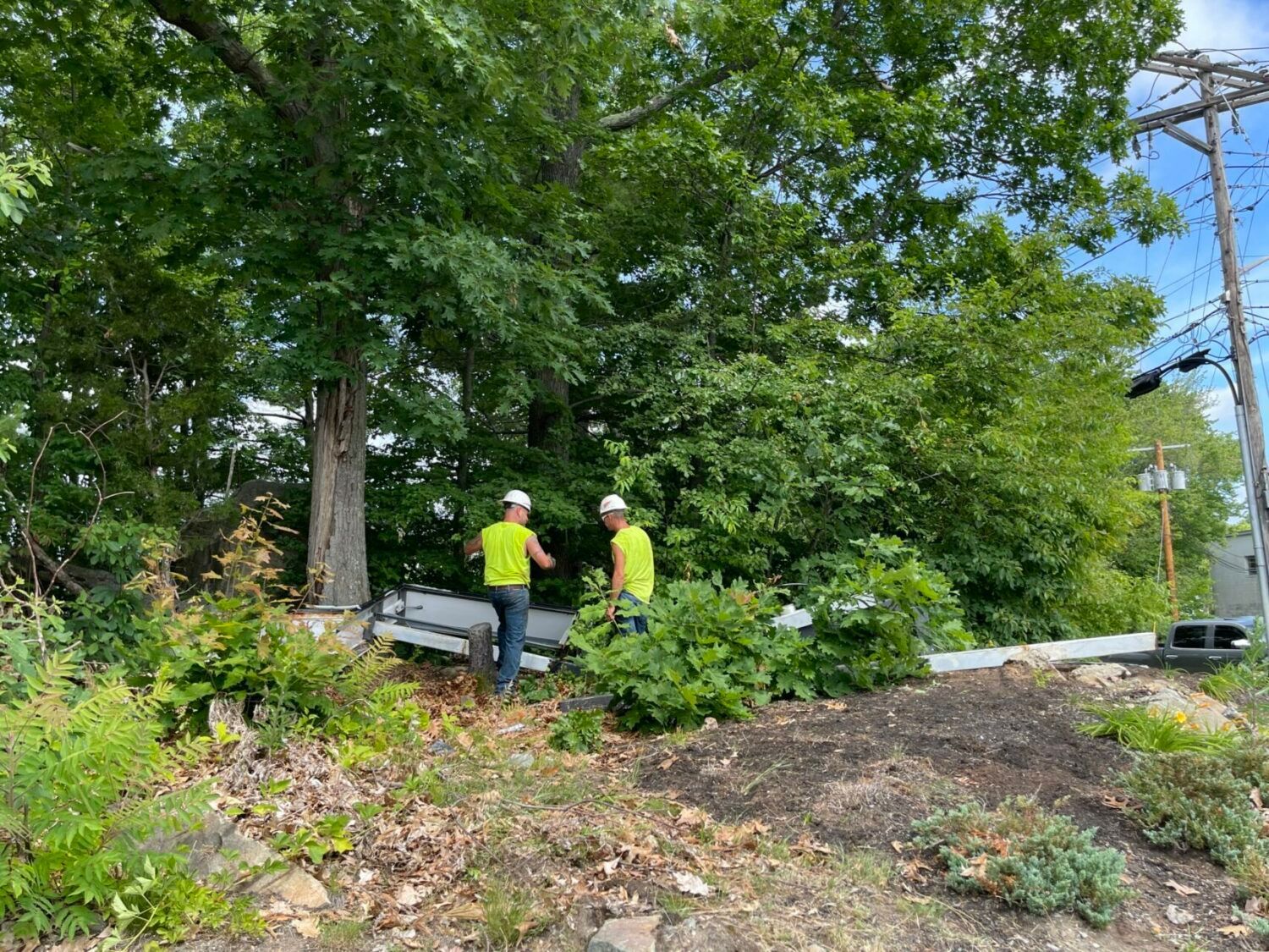 Two men are standing next to a tree in a forest.