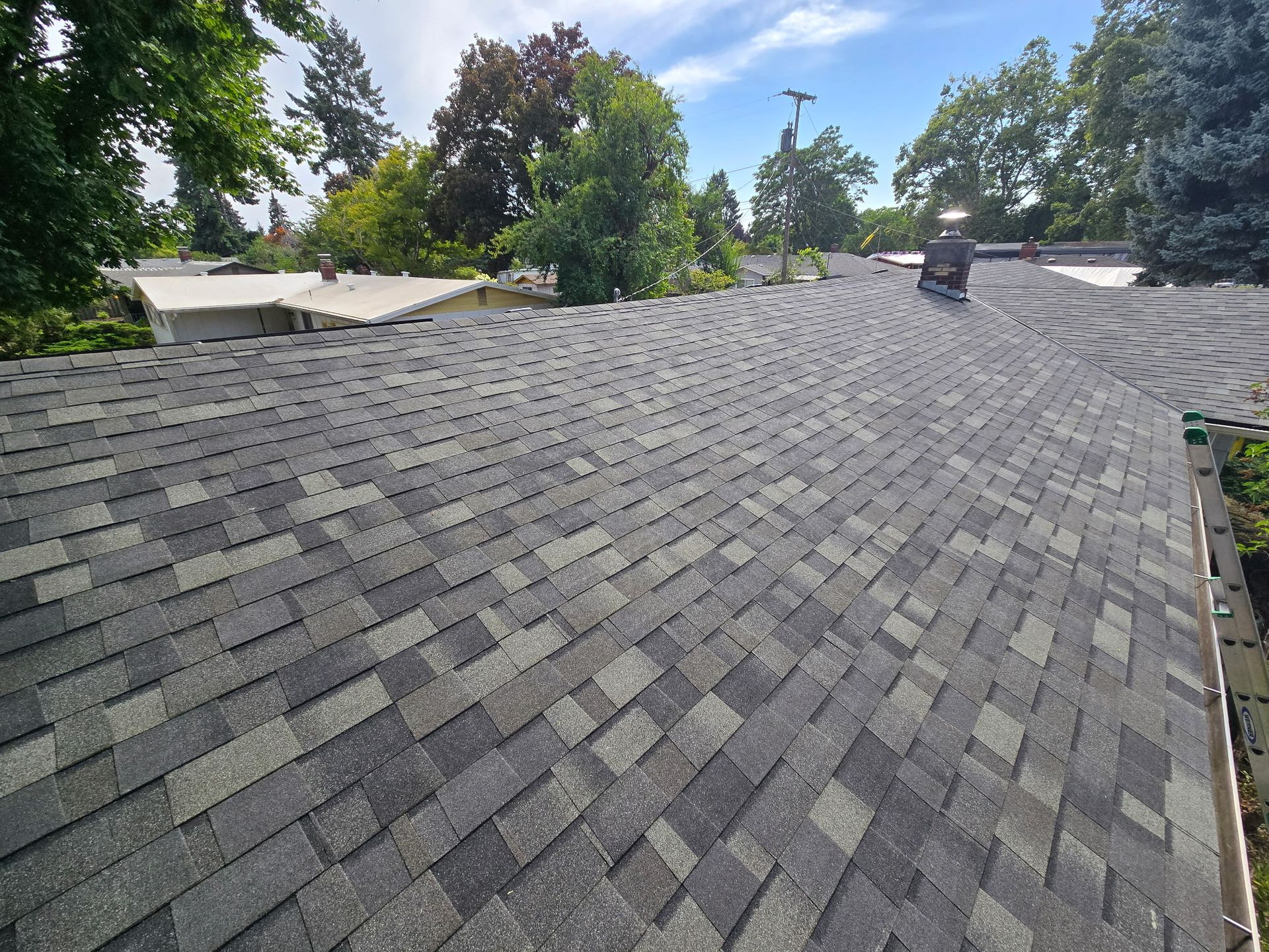 Asphalt shingle roof with varied gray and green tones under a blue sky, surrounded by green trees.