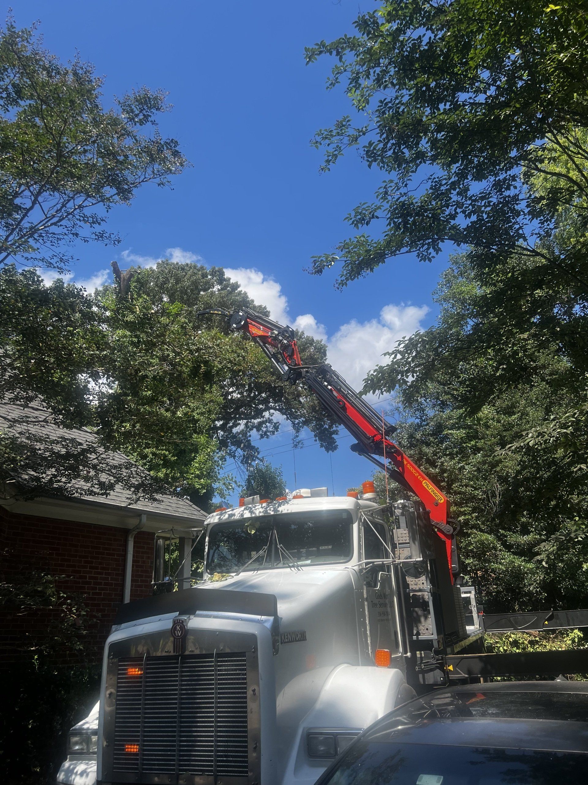tree service