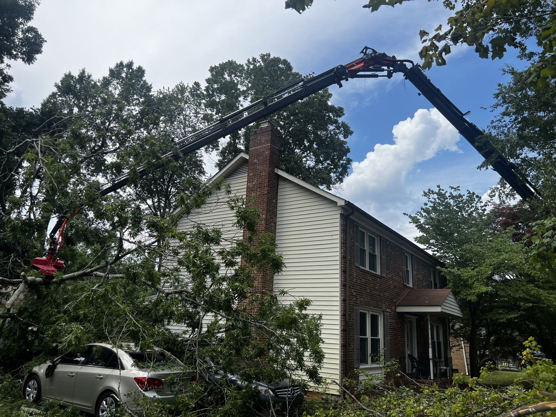 residential tree service