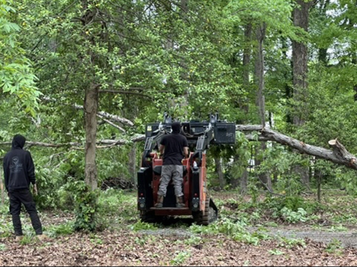 A man is standing next to a tractor in the woods.