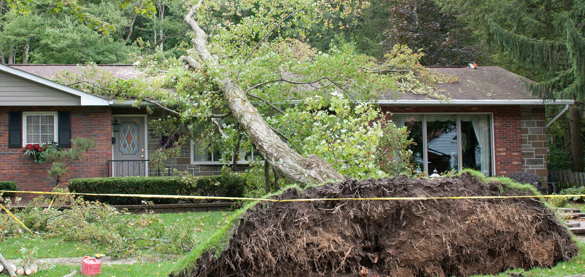 Storm Damage Clean-Up