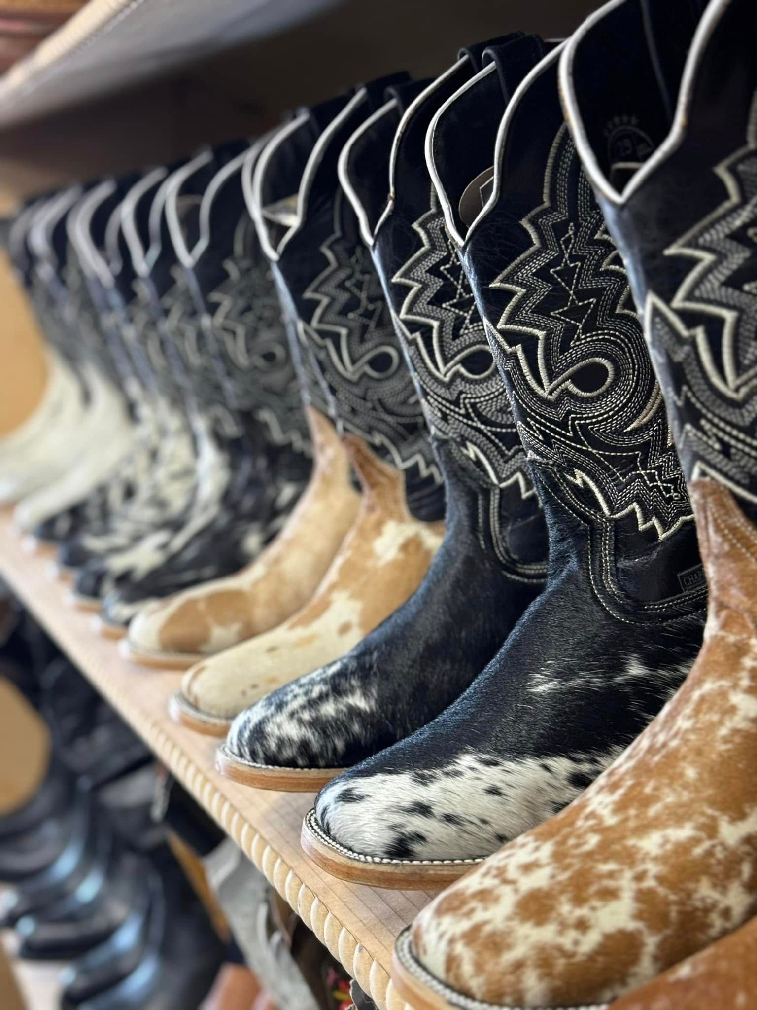 A row of cowboy boots are lined up on a shelf.