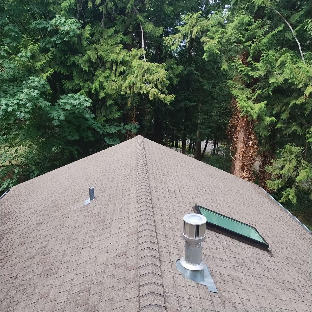 a roof with a skylight and a chimney on it