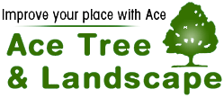 Ace+Tree+-+Landscape_logo