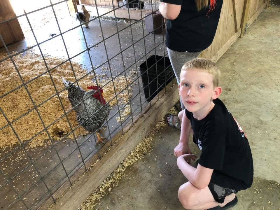 Summer Program Activity