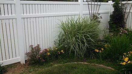 A white fence surrounds a garden with flowers and grass.